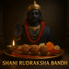Shani Band