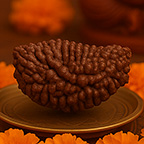 1-Mukhi