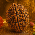 2-Mukhi