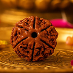6-Mukhi