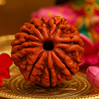 7-Mukhi