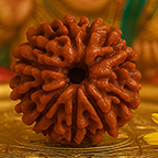 8-Mukhi