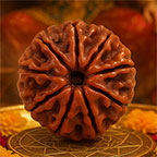 9-Mukhi