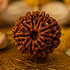 10-Mukhi