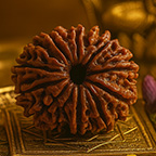 12-Mukhi