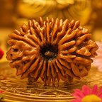 17-Mukhi