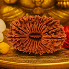 21-Mukhi